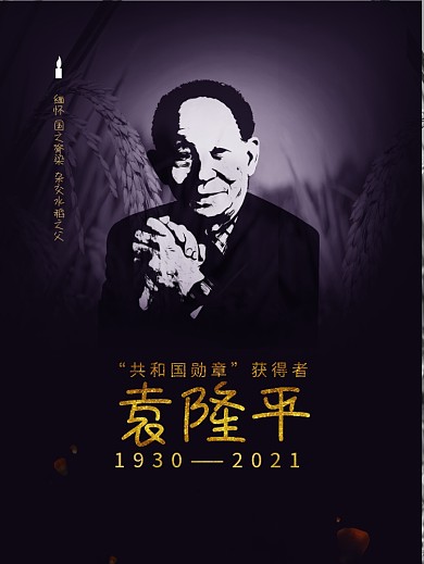 缅怀袁隆平老先生