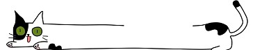 猫咪分割线手绘插画