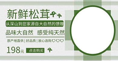 新鲜松茸绿色海报banner