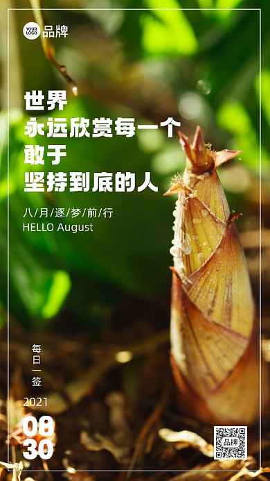 早安每日一签竹笋破图摄影图海报
