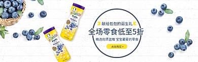 精选优质蓝莓促销淘宝banner