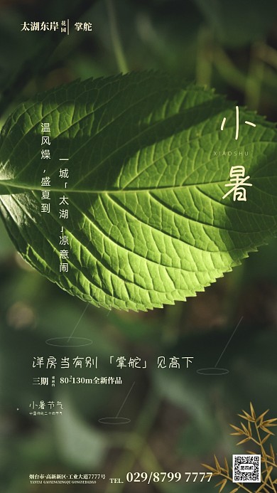 清新简约小暑节气海报
