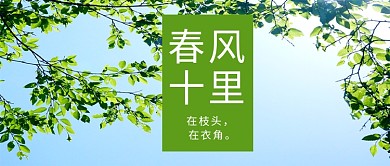春风十里树叶绿色简约公众号首图