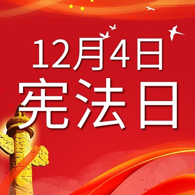 宪法日公众号次图 鸽子红色简洁公众号次图