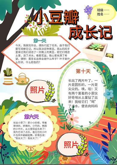 多肉植物成长日记手抄报