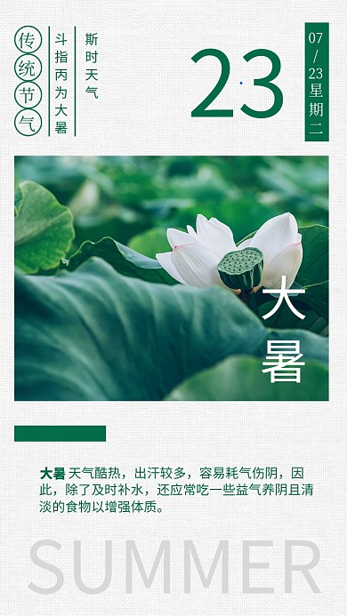 绿色清新大暑节气宣传海报