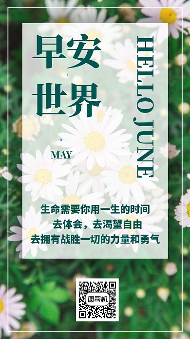 绿色摄影早安问候日签月签菊花手机海报