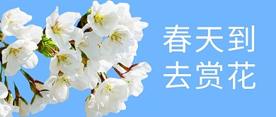 春天赏花蓝色简约公众号首图