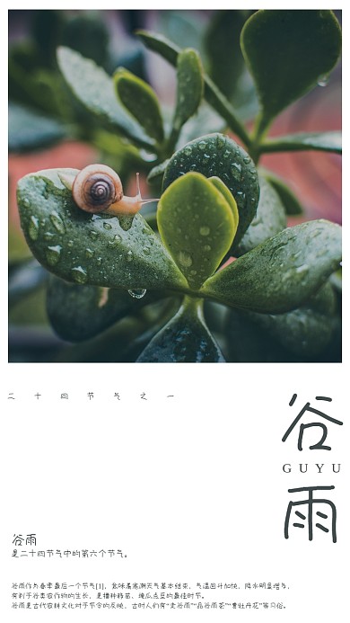 24节气谷雨海报朋友圈