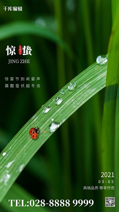 惊蛰绿色植物绿色简约海报