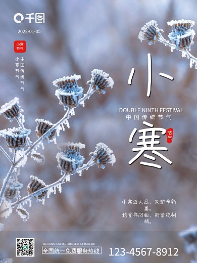 简约大气小寒节气二十四节气摄影图宣传海报
