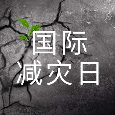 国际减灾日裂缝灰色简约公众号次图