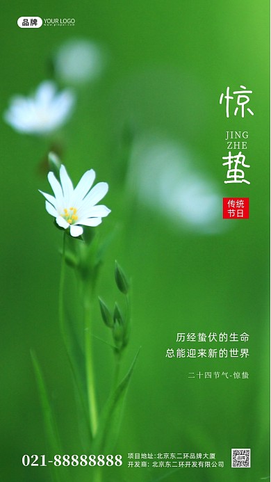 绿色简约惊蛰气节摄影图手机海报