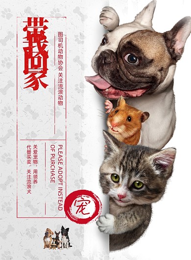 简约大气带我回家公益宣传海报