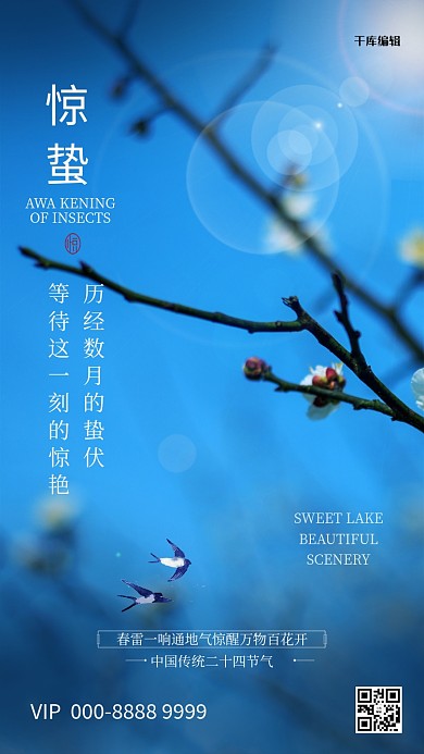 惊蛰节气摄影图蓝色清新简洁海报