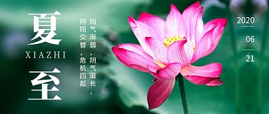 绿色简约节气夏至公众号首图