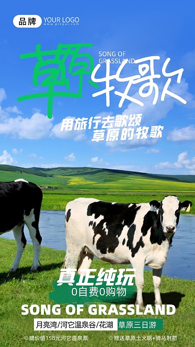 旅游出行草原分光奶牛摄影图海报