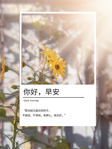 新星4月22日平面新星设计师摄影图海