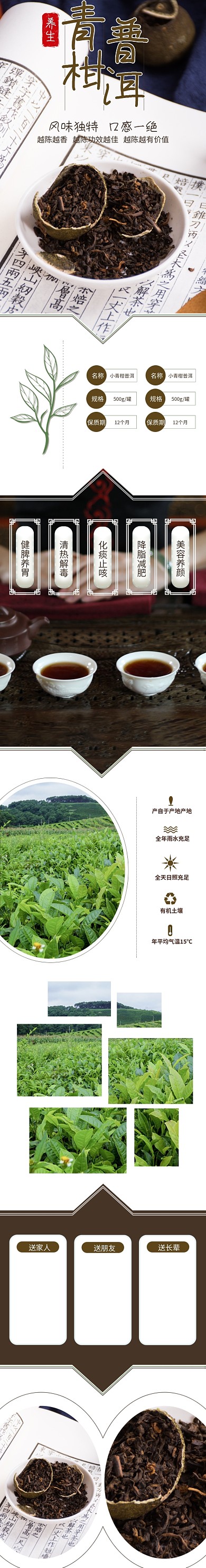 小青柑普洱茶叶绿色养生中国风详情页简约