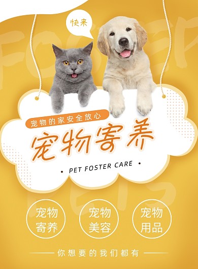 黄色可爱宠物海报