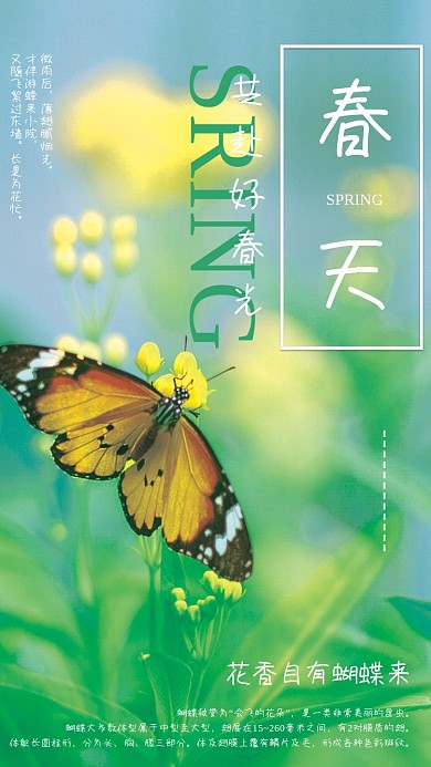 蝴蝶春天油菜花海报