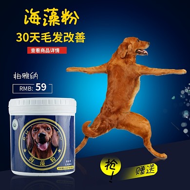 店铺新品上市宠物食品钙粉海藻粉营养粉主图