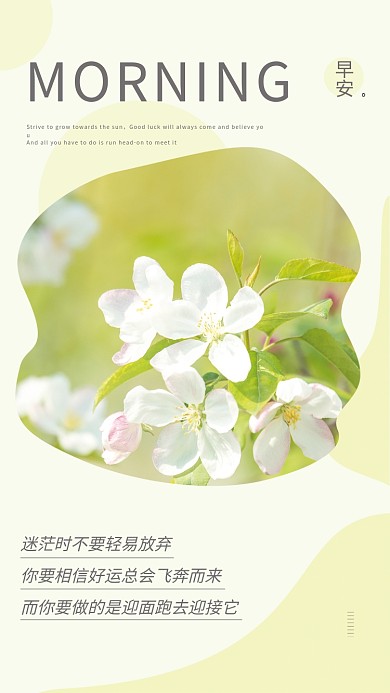 小清新正能量心语日签朋友圈早安海报