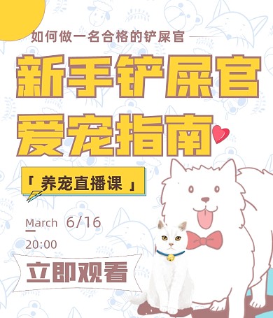 宠物科普知识猫咪视频号封面