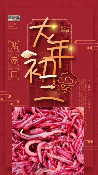 简约红色贴赤口癸卯年新年兔年年俗初三海报