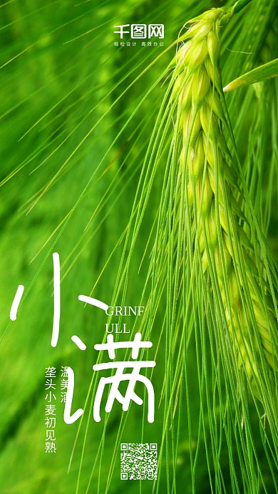 绿色小清新二十四节气小满手机海报