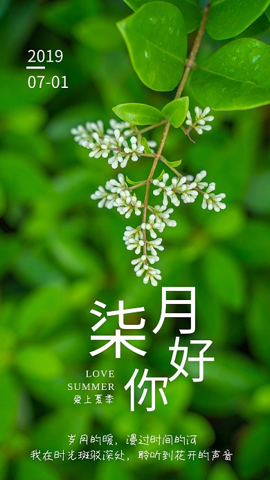 创意绿色摄影七月月签海报