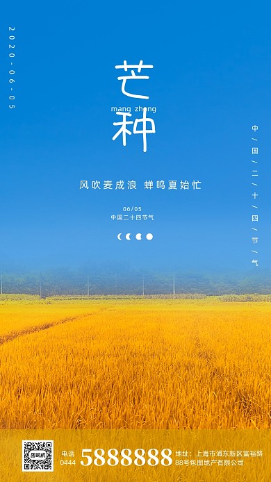 稻田芒种摄影海报