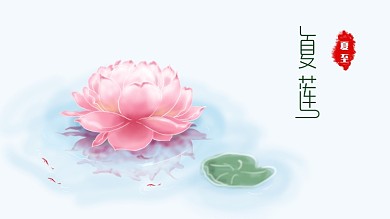 夏至莲花原创板绘