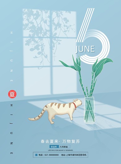 六月清凉猫咪插画立体光效小清新印刷海报