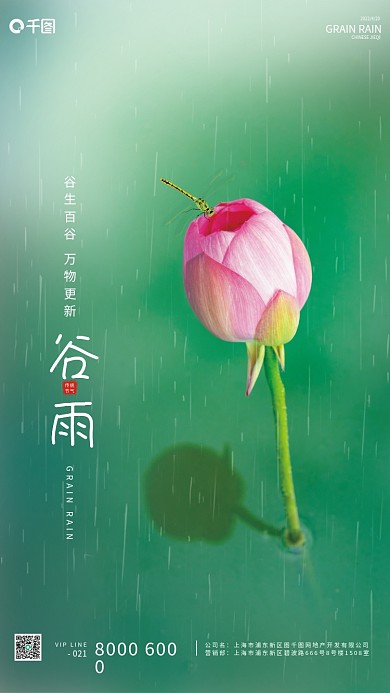 谷雨传统节气海报