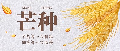 芒种传统节气公众号首图