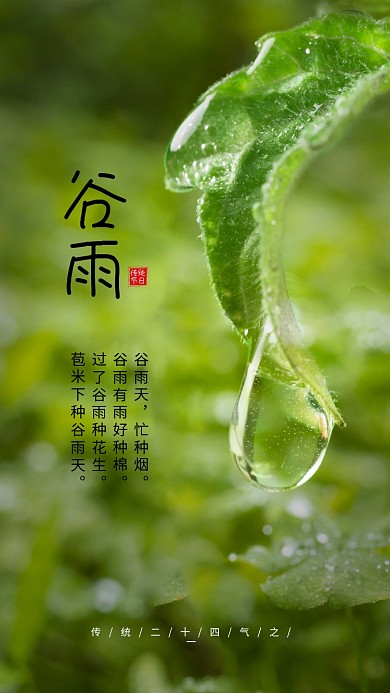 清新谷雨绿色树叶露珠手机海报