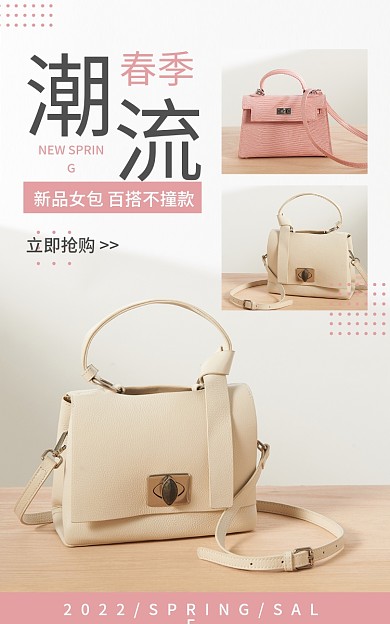 电商海报春季立即抢购女包春季新品