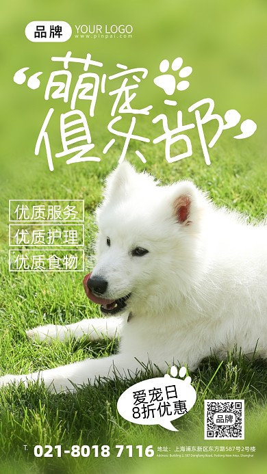 宠物狗粮小狗摄影图海报