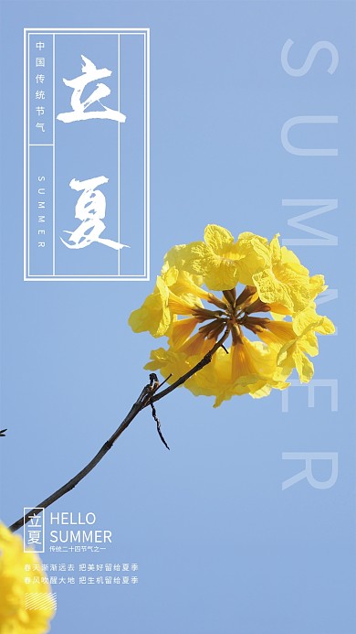 二十四节气立夏蓝天菊花简约海报