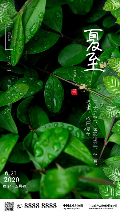 时尚简约夏至摄影海报