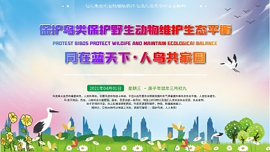 保护鸟类保护生态蓝天白云环保文明展板