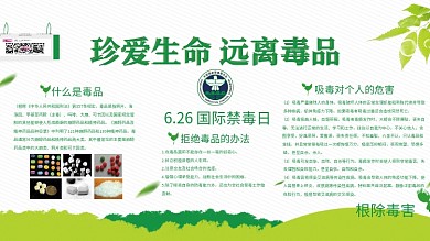 珍爱生命远离毒品国际禁毒日展板