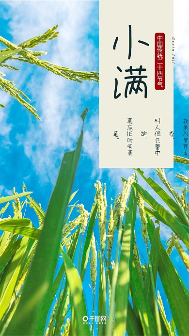 中国二十四节气小满手机用图