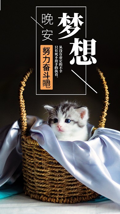 晚安梦想简约猫咪手机宣传海报