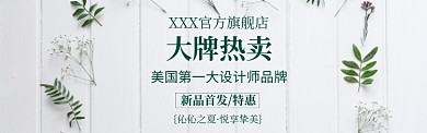 淡雅植物促销banner