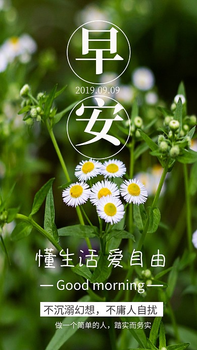 绿色高清植物早安日签手机海报
