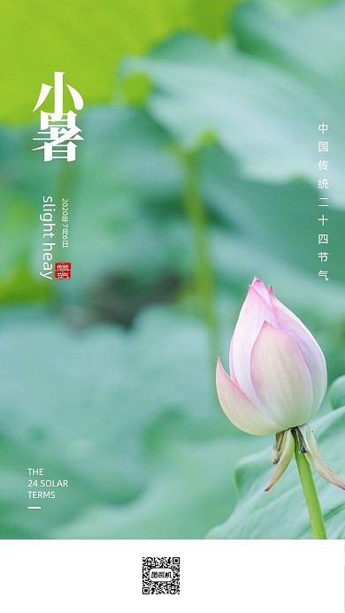 清新简约小暑节气荷花海报