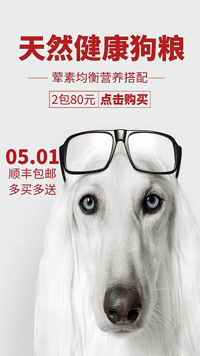 健康天然狗粮促销海报
