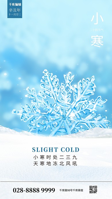 小寒雪花蓝色简约海报